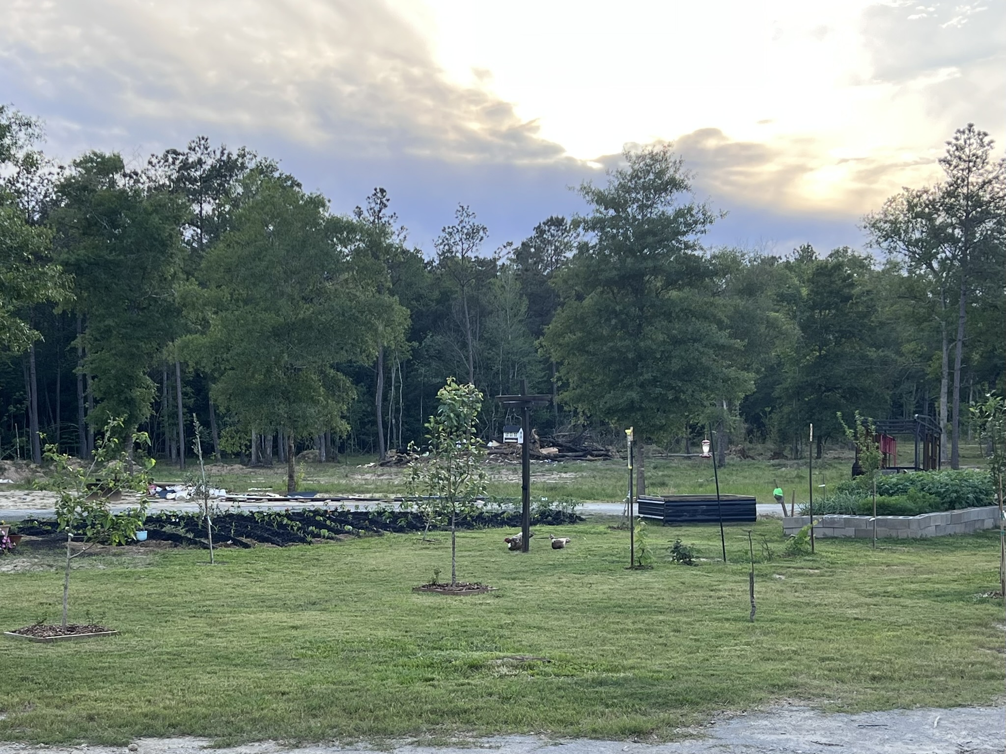 Wide view of farm and sunset